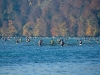 Armadacup 2016 __ Skiffrennen, Teil 2_No14