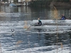 IMG_3630 (Large)