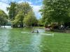 Immagine-WhatsApp-2024-05-20-ore-21.23.10_c7c78b17