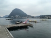 IMG_2722 (Large)