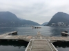 IMG_2723 (Large)