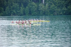 Regata di Bled