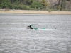 IMG_6808 (Large)