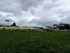DSC02239