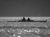 DSC_5238