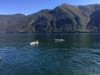 IMG_2692 (Large)